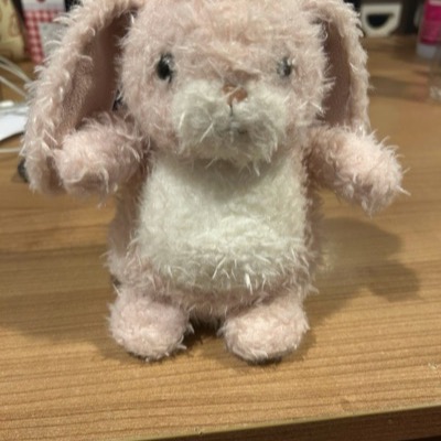 A little plush bunny